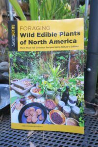 Foraging Wild Edible Plants of North American - a book by Christopher Nyerges