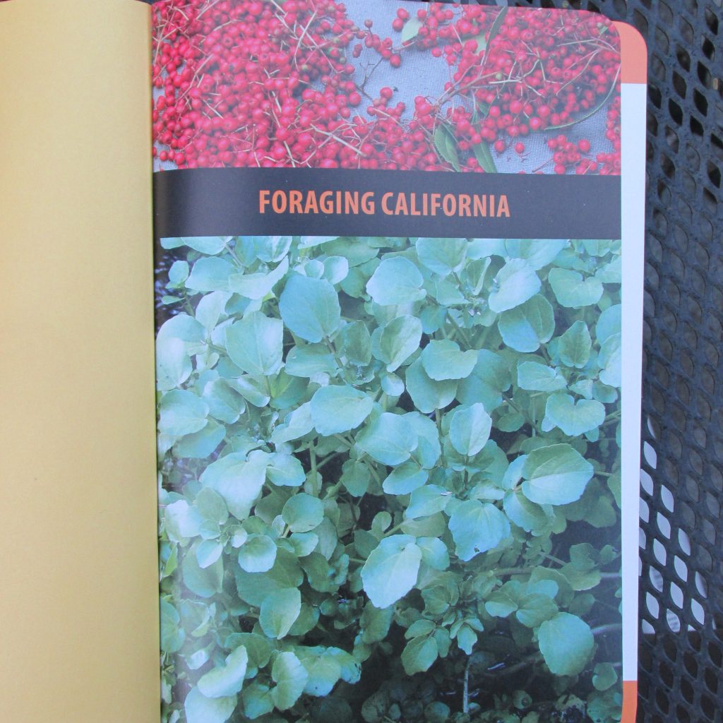 FORAGING CALIFORNIA – School of Self-Reliance
