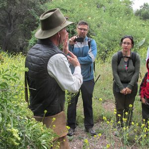 HOME STUDY: HEALING WITH MEDICINAL PLANTS OF THE WEST,  WITH DR. JAMES ADAMS