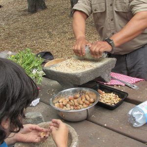 HOME STUDY  -- SKILLS: ACORN PROCESSING, A TO Z