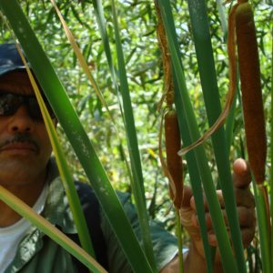 HOME STUDY:  DISCOVER THE TREASURE OF RIPARIAN PLANTS