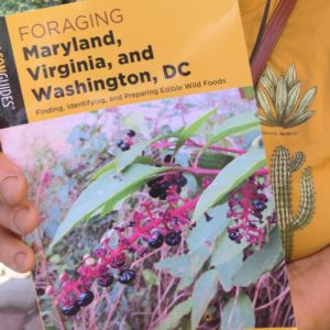 FORAGING MARYLAND, VIRGINIA, AND WASHINGTON, DC