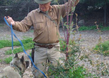 DUDE'S CORNER: LEARNING ABOUT WILD FOODS