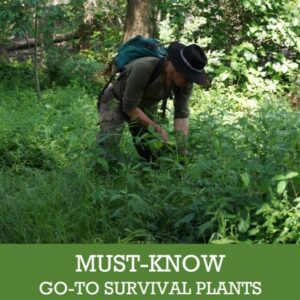 new book: MUST-KNOW GO-TO SURVIVAL PLANTS OF NORTH AMERICA